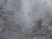 Rooster frozen in time.