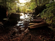 Light in the Entrance