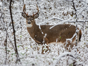 Nice Weather We're Having