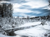 Reflecting On nature 