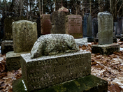 Otter Valley cemetery