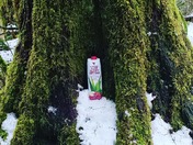 Beautiful winter day