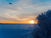 Sunrise in Yellowknife