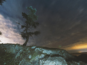 Fire Lord - A lone Juniper tree.