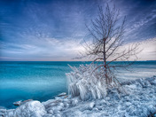 Rock Solid Fifty Point Conservation Area