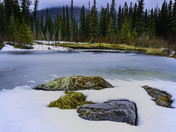 Frozen Beaver Pond on Foggy Morning