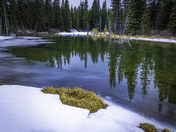 Misty Morning Reflections in Beaver Pond