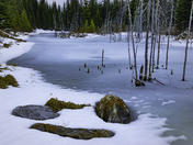Icy Blue Beaver Pond