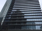 'lying on top of a building"