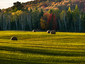 Rolling in Autumn light 