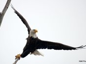 Freedom of the Air and Earth