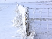 Frosty fences