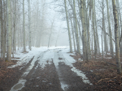 Foggy day in Busby, Alberta