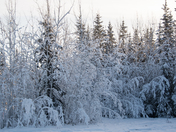 Travelling on Klondike Highway