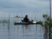 Taking In The Beauty