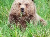 The Look of Surprise 