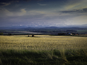 Red Sheds in Farm Field