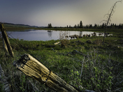 Duck Pond Broken Fence