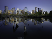 Calgary Skyline and Stump Blue Hour
