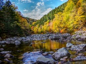 Fundy National Park Fall Colours