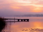 Early Morning in Muskoka