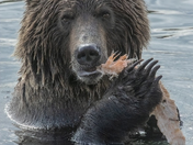 Good To The Last Bite