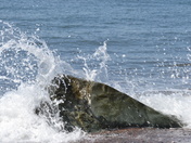 Fundy Parkway wave on rock