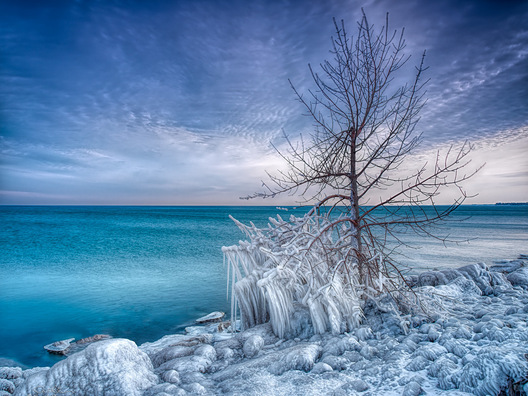 Rock Solid 50 Point Conservation Area