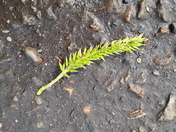 On the road, Literally