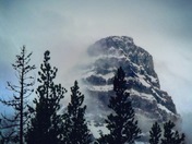 Reaching up to the heavens 