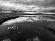 On the road to Cape Race