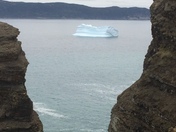 Iceberg