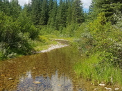 Cypress Hills Alberta