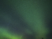 The Lone Tree & The Light Show