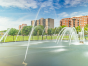 Halifax Common in Summer