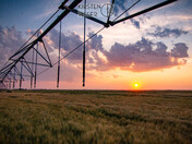 A Prairie Sunset with Cotton Candy Skies