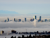 The City in the morning