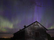 Dance Hall Comes Alive one last time