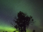 Night sky in Elk Island