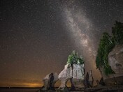 milky way shinging on top of Hopewell Rocks