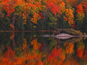 Fall color in Arrow Head Provincial Park