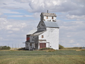 Beauty of the Prairie