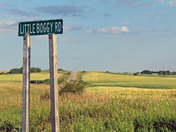 Little Boggy Road