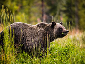 The Look When Someone Interrupts Dinner