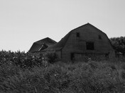 Old Barn