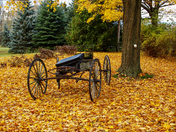 Fall in Caledon, ON