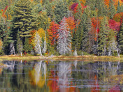 Fall in Algonquin Provincial Park