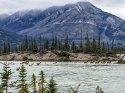 Nature at its finest 