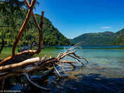 Cameron Lake, Vancouver Island - Peace and quiet