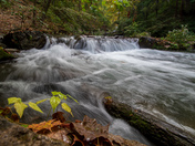 Creek in St Catharines, Ontario